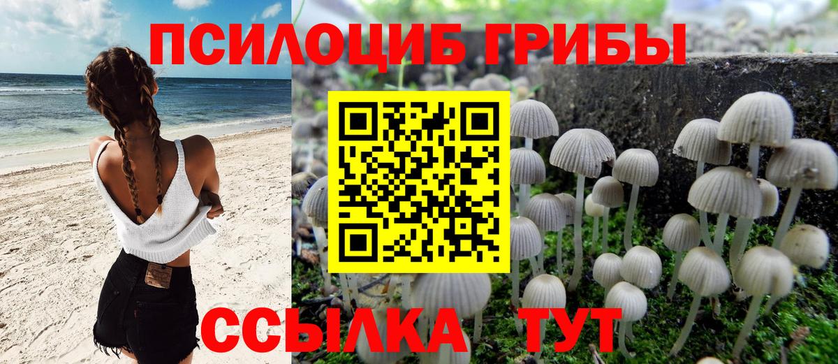 ГАШ Краснокаменск